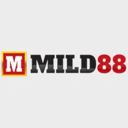 User Experience and Interface of Mild88
